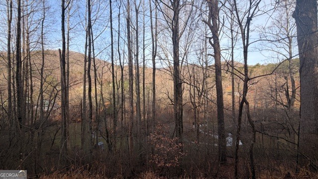 3 Eagle Heights Road Hiawassee, GA 30546 - Photo 14 of 15