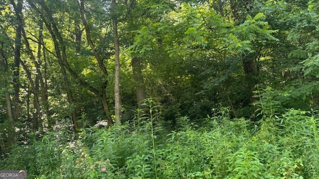 3 Eagle Heights Road Hiawassee, GA 30546 - Photo 3 of 15 a view of a lush green forest
