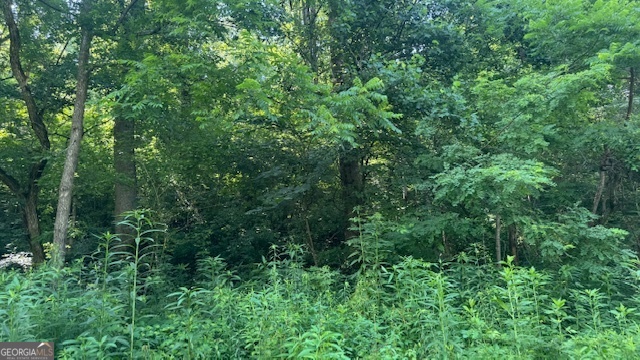 3 Eagle Heights Road Hiawassee, GA 30546 - Photo 4 of 15 a view of a lush green forest