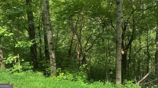 3 Eagle Heights Road Hiawassee, GA 30546 - Photo 5 of 15 a view of a lush green forest