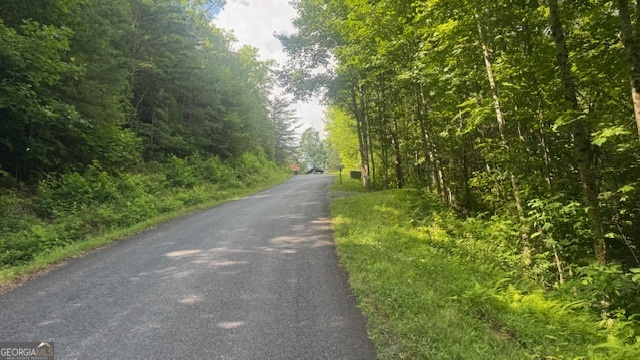 3 Eagle Heights Road Hiawassee, GA 30546 - Photo 6 of 15 a view of a yard with plants and trees