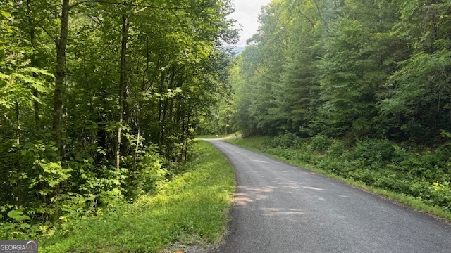 3 Eagle Heights Road Hiawassee, GA 30546 - Photo 7 of 15 a view of a yard with plants and a small yard