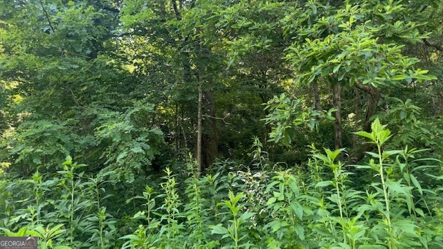 3 Eagle Heights Road Hiawassee, GA 30546 - Photo 8 of 15 a view of a lush green forest