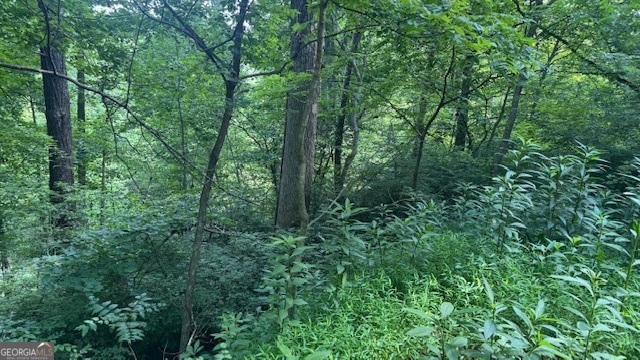3 Eagle Heights Road Hiawassee, GA 30546 - Photo 9 of 15 a view of a lush green forest