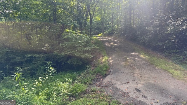 3 Eagle Heights Road Hiawassee, GA 30546 - Photo 10 of 15 a view of a forest
