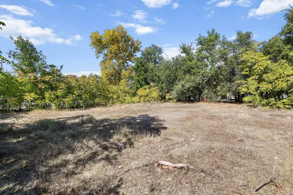 a view of a dry yard with trees