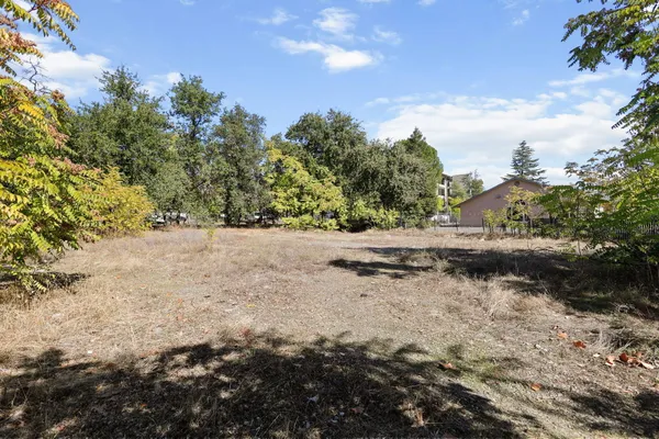 a view of an outdoor space with yard