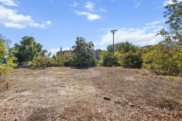 a view of a yard with a tree