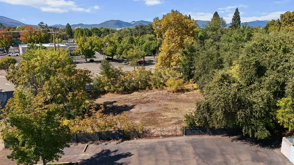 a view of a yard with a tree