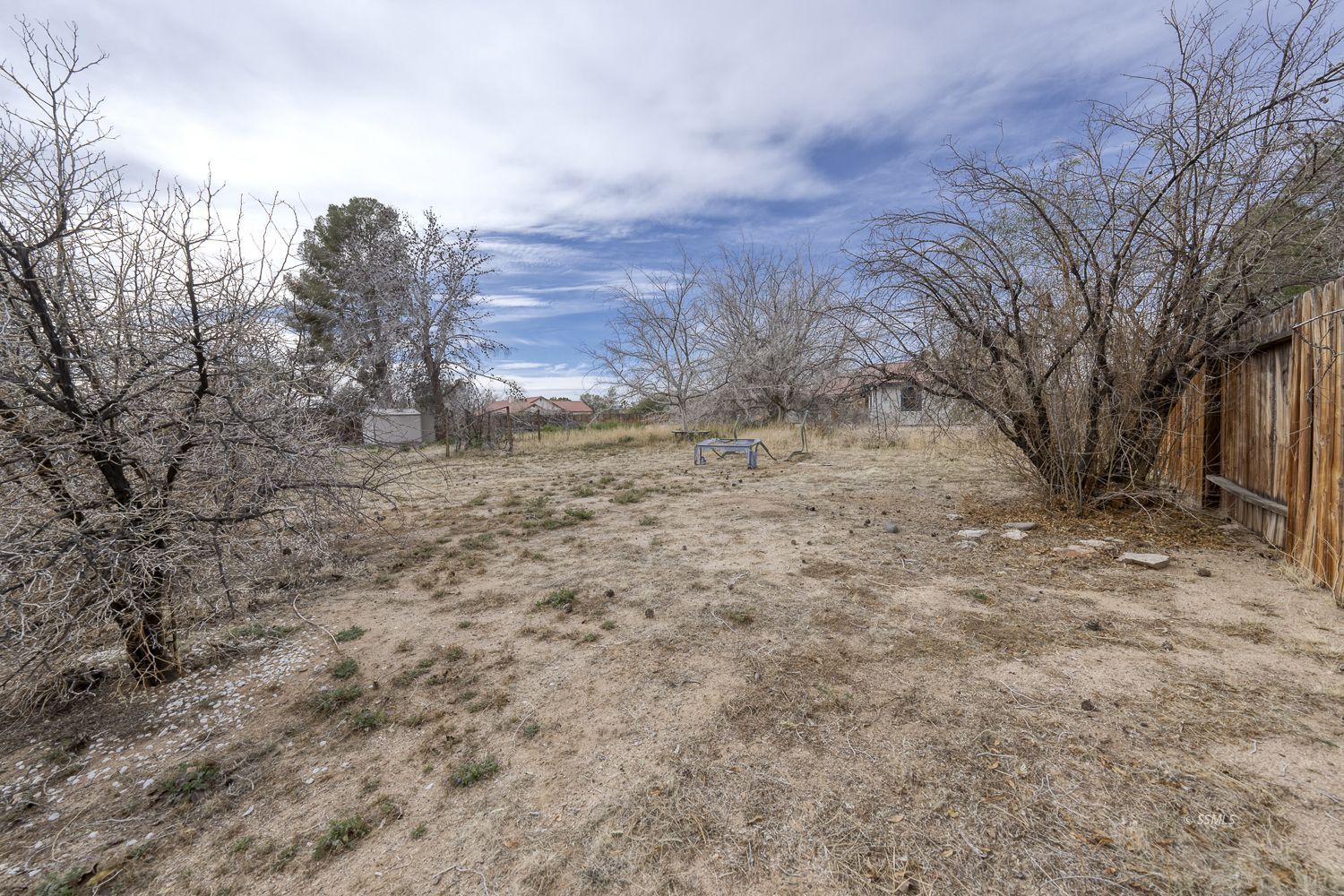 854 Campbell Street Ridgecrest, CA 93555 - Photo 35 of 45 a view of a dry yard with trees in the background