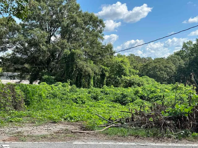 $22,500 | 105 Williams Street, Spartanburg, SC 29301