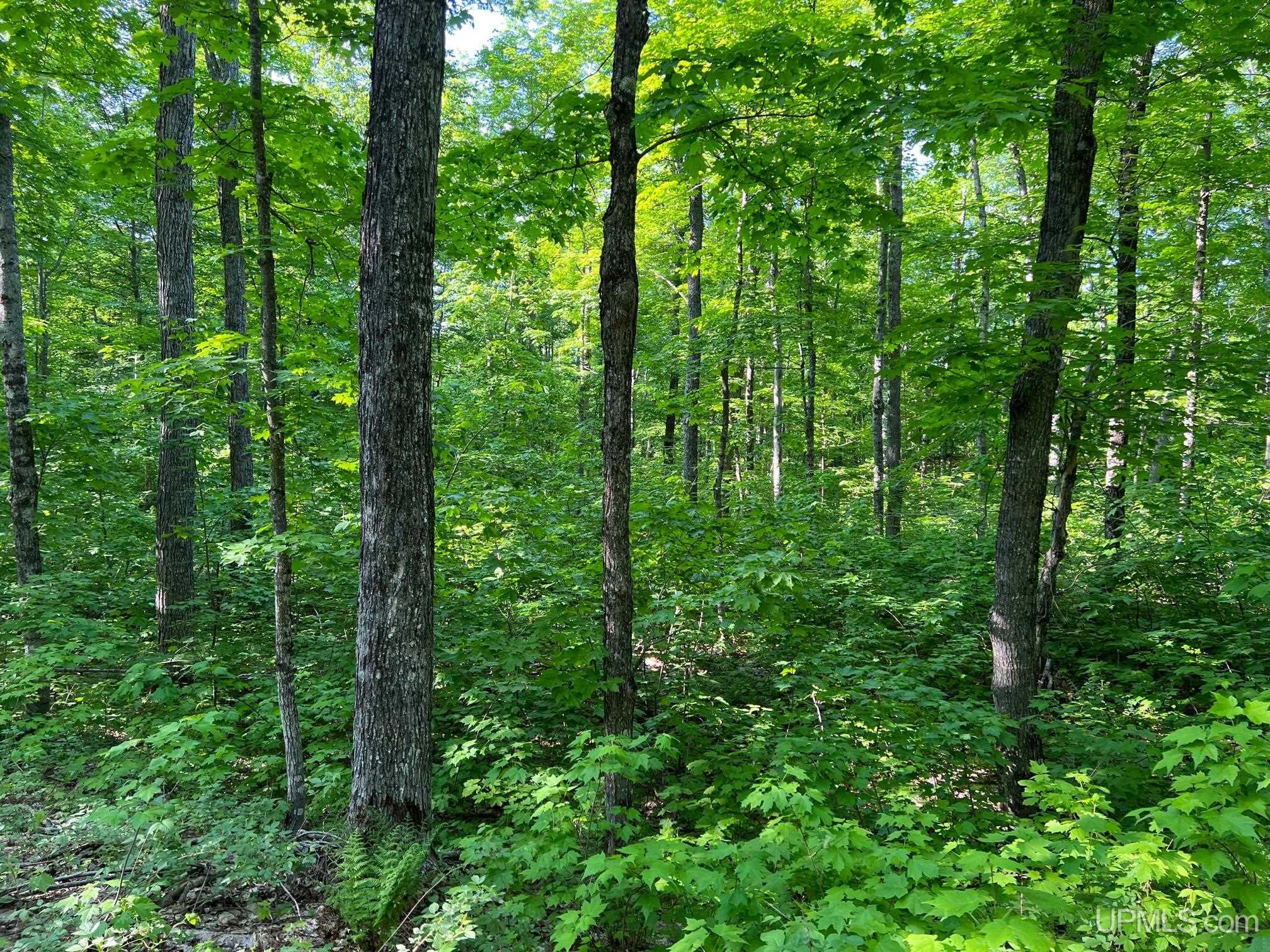 Tbd359 Tbd359 Aaa Road Big Bay, MI 49808 - Photo 12 of 36