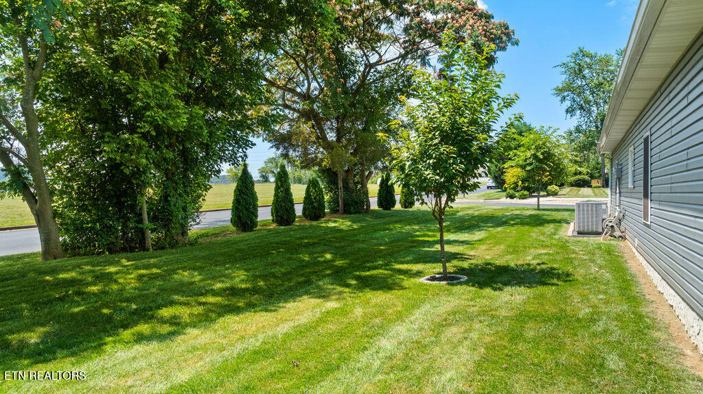 425 Cheeyo Place Loudon, TN 37774 - Photo 7 of 41 DJI_0656