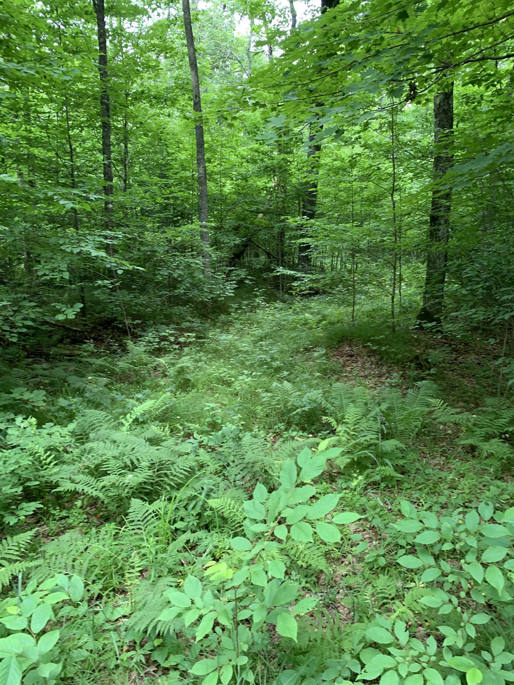 0 Smt Wds Lane Gleason, WI 54435 - Photo 7 of 17