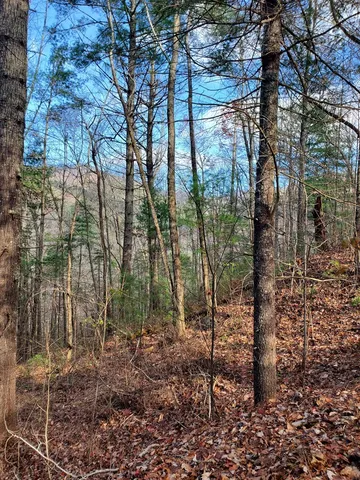 $135,000 | Lot 6 Katerina Lane, Murphy, NC 28906