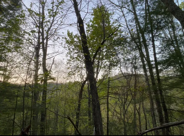 $135,000 | Lot 6 Katerina Lane, Murphy, NC 28906