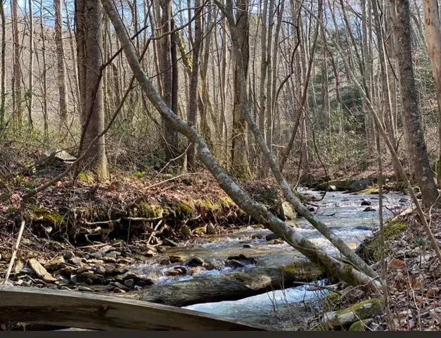 $135,000 | Lot 6 Katerina Lane, Murphy, NC 28906