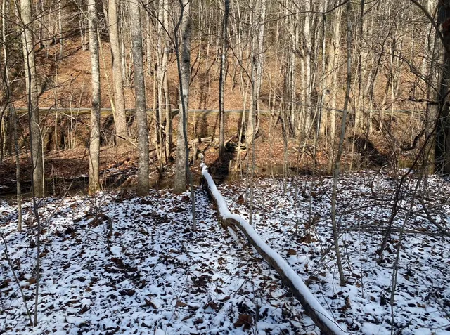 $135,000 | Lot 6 Katerina Lane, Murphy, NC 28906