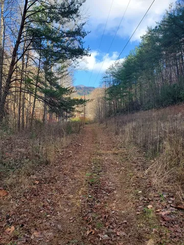 $135,000 | Lot 6 Katerina Lane, Murphy, NC 28906