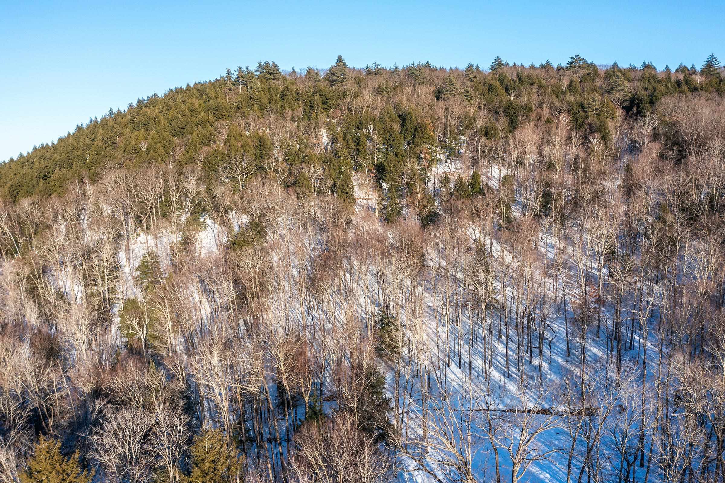 0 Quarry Road Chester, VT 05143 - Photo 4 of 25