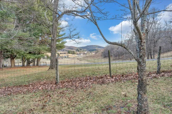 a view of a backyard