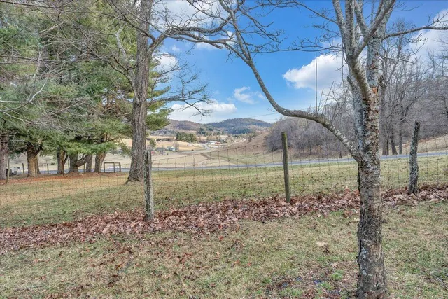 a view of a backyard