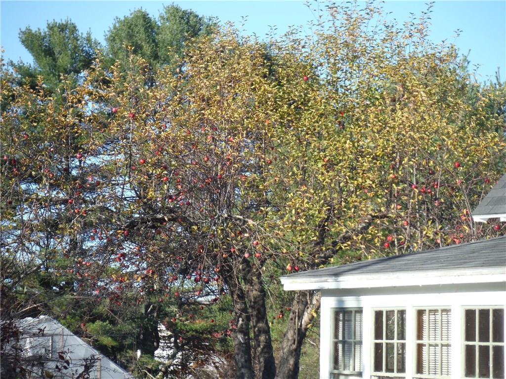 494 North Bend Road Surry, ME 04684 - Photo 14 of 14 Photo