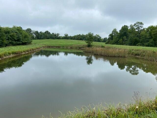 2197 Brooksville Chatham Road Augusta, KY 41002 - Photo 14 of 34 Gallery Image 14