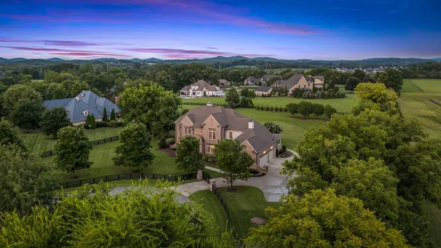 a view of a city with lush green forest