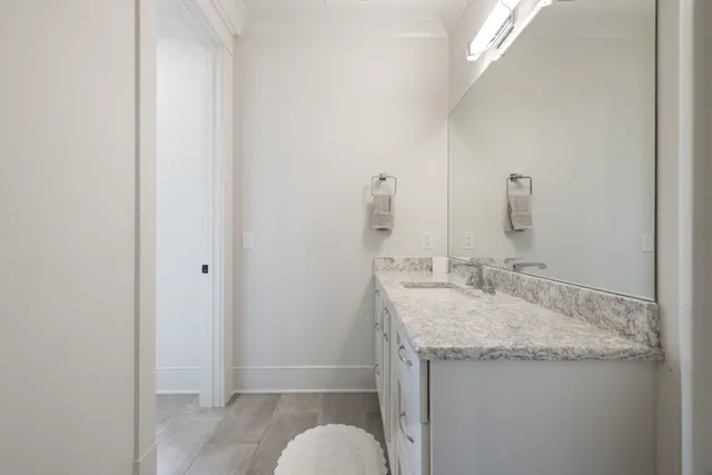 a view of a yard with plants