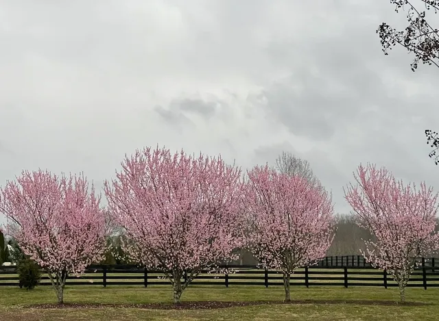 $2,150,000 | 5540 Hawks Landing Drive, Arrington, TN 37014