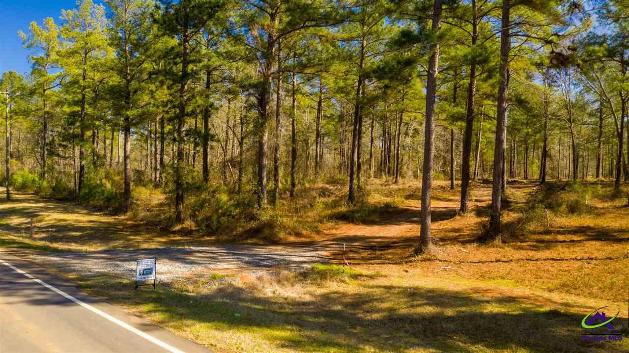 Pitts Road Hawkinsville, GA 31036 - Photo 1 of 1