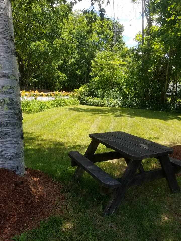 113 Forest Road Lyndeborough, NH 03082 - Photo 30 of 31