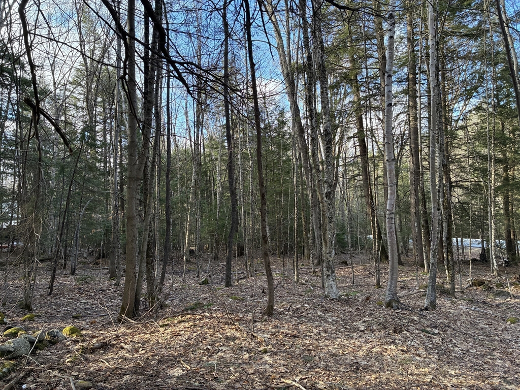 2 Leshures Road Rowe, MA 01367 - Photo 14 of 14