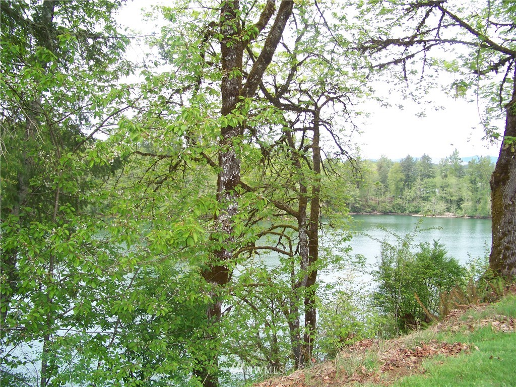 156 Fish Hatchery Road Mossyrock, WA 98564 - Photo 9 of 18 Gallery Image 9