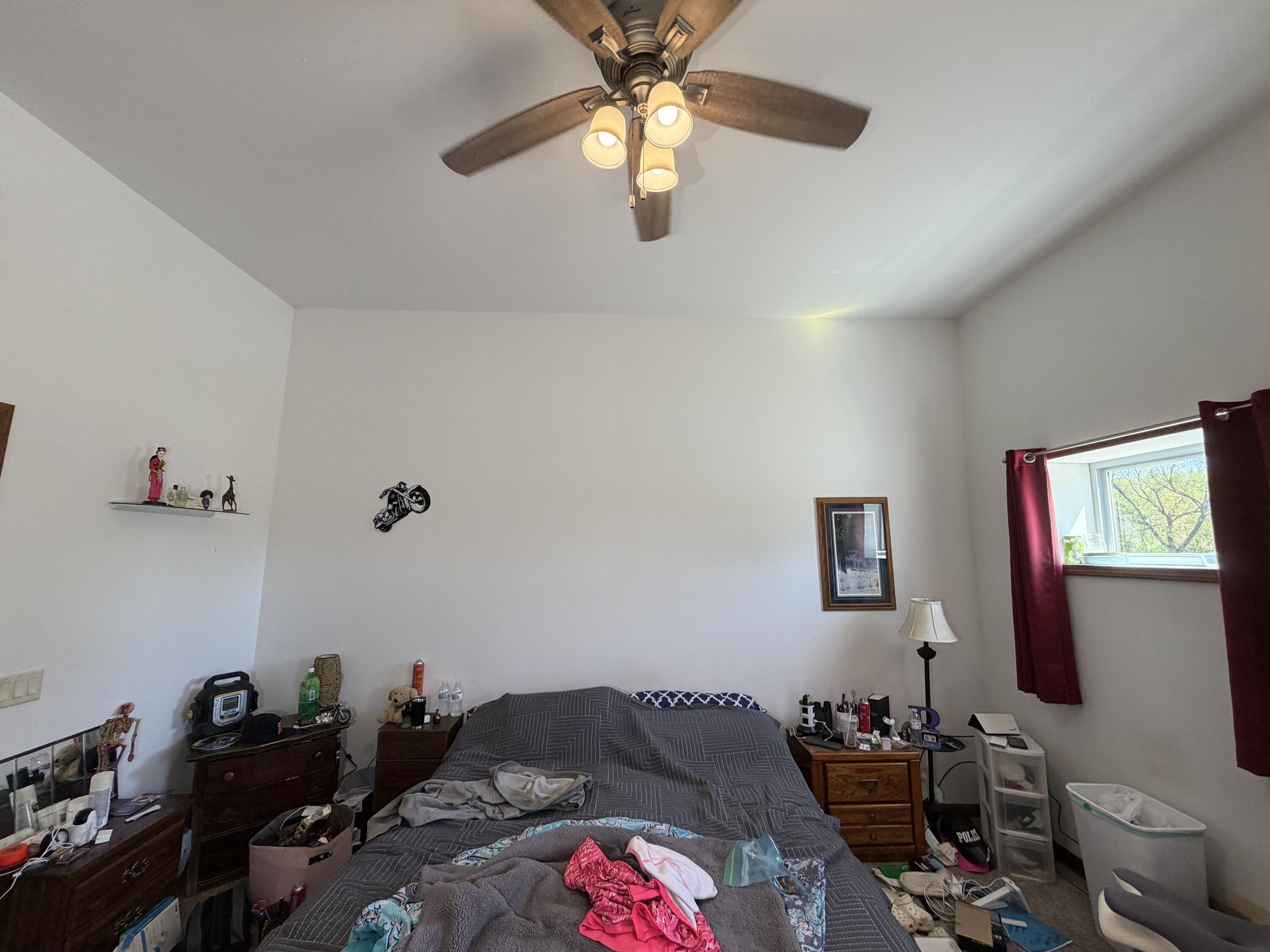 2916 72nd Avenue Springfield, WI 54027 - Photo 50 of 119 IMG_2867