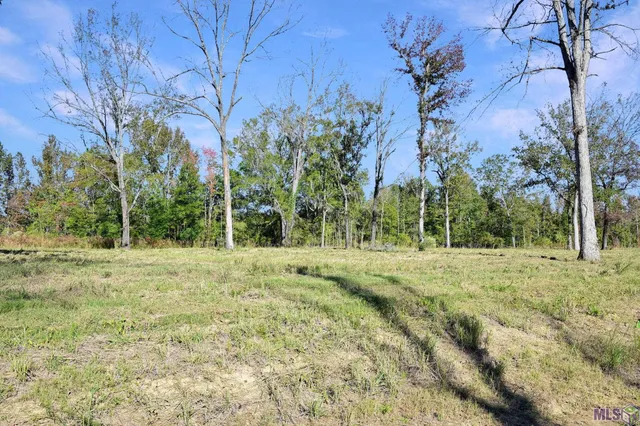 $70,000 | Lot 32 Duncan Avenue, Jackson, LA 70748