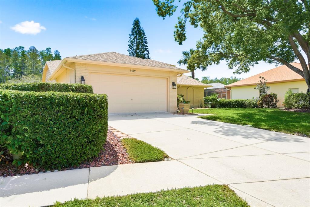 6019 Country Ridge Lane New Port Richey, FL 34655 - Photo 3 of 43 Gallery Image 3
