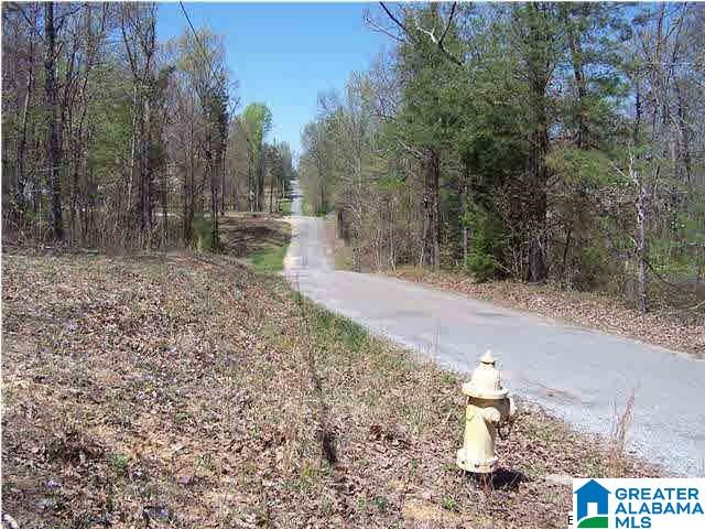 0 Homestead Lane Remlap, AL 35133 - Photo 4 of 23