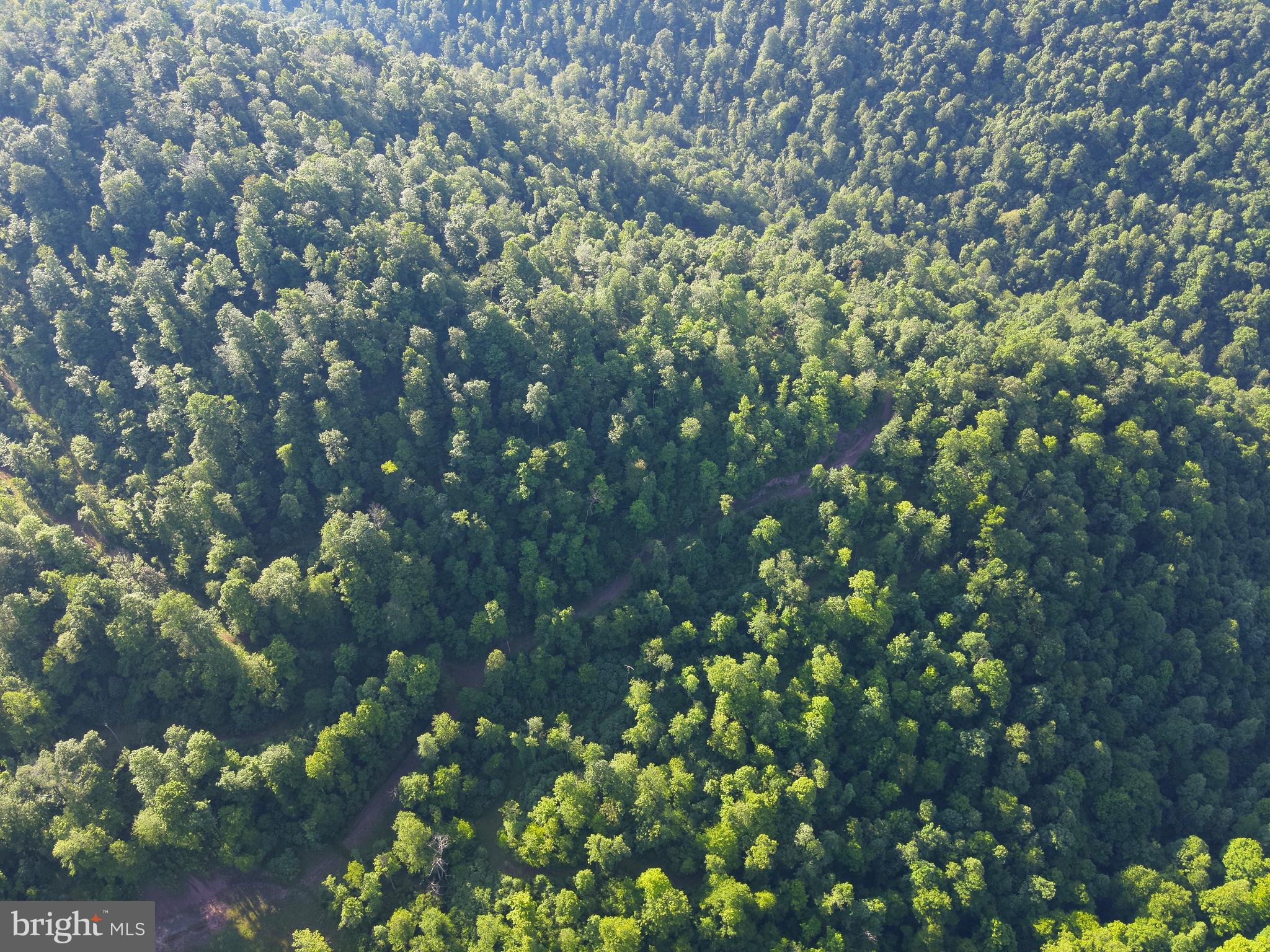 Tbd Calvert Shaver Road Rowlesburg, WV 26425 - Photo 24 of 39