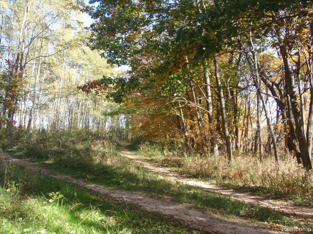 0 Lehring Road Byron, MI 48418 - Photo 1 of 2 LehringRd.4