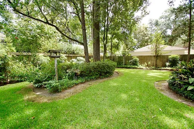 a view of yard with green space