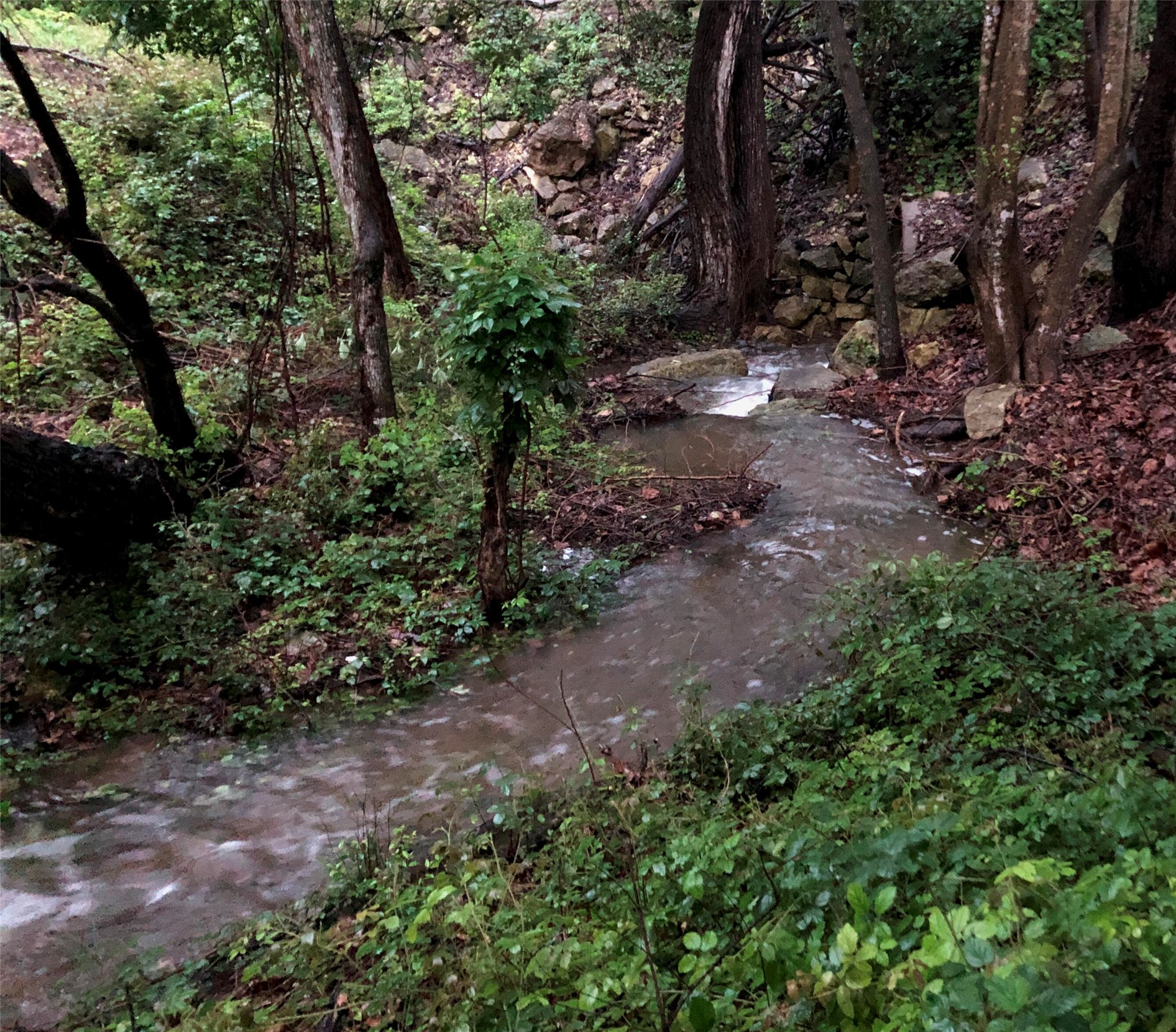 903 The High Road Austin, TX 78746 - Photo 25 of 27