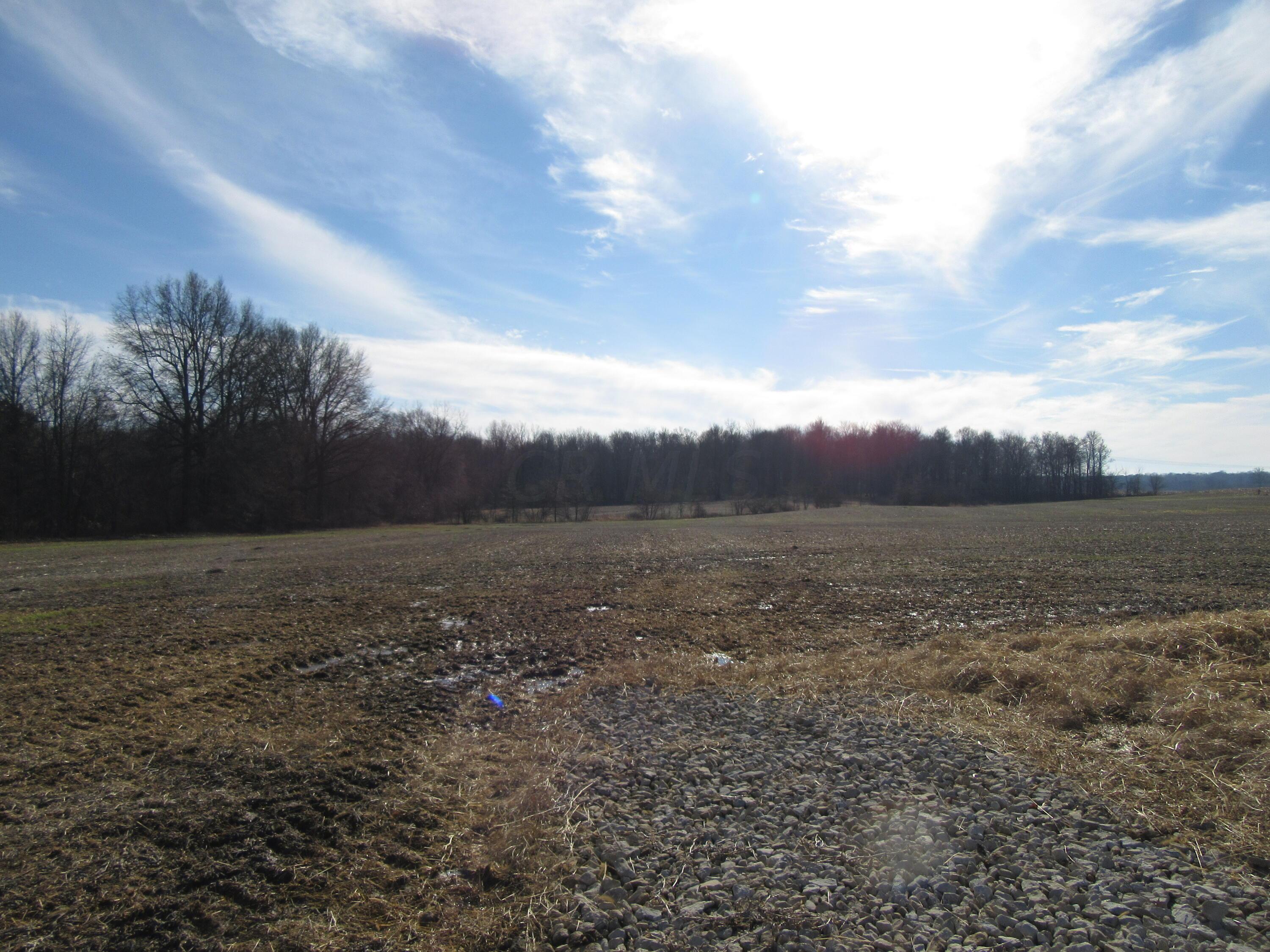 0 Riley Road Northwest, Unit 37 33 ACRES Johnstown, OH 43031 - Photo 1 of 11 Riley Rd Drive