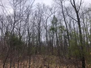 0 Quarry Road New Gloucester, ME 04260 - Photo 7 of 11 IMG_1444