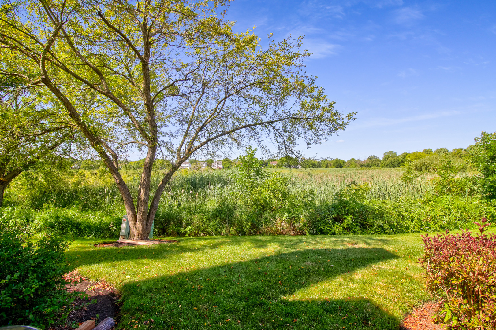1204 Coldspring Road Elgin, IL 60120 - Photo 27 of 27