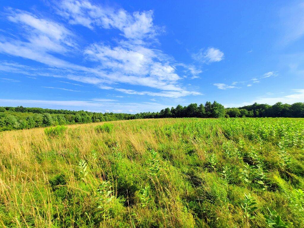 Lot 2 East Road Chesterville, ME 04938 - Photo 15 of 39 20240718_165105