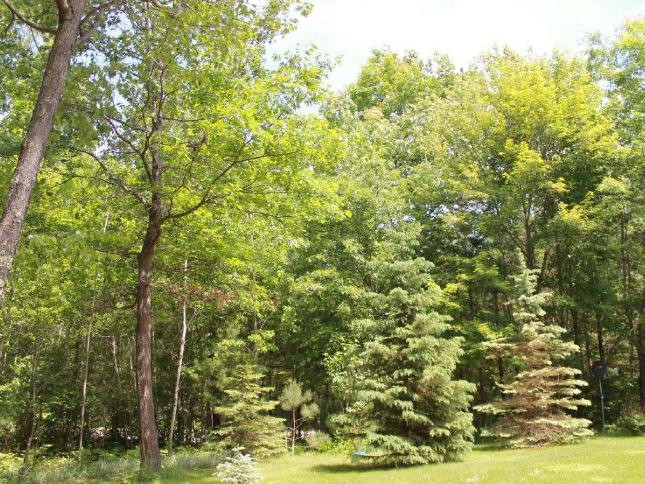 6481 South Bluebird Road Lake Tomahawk, WI 54539 - Photo 22 of 38 Gallery Image 22