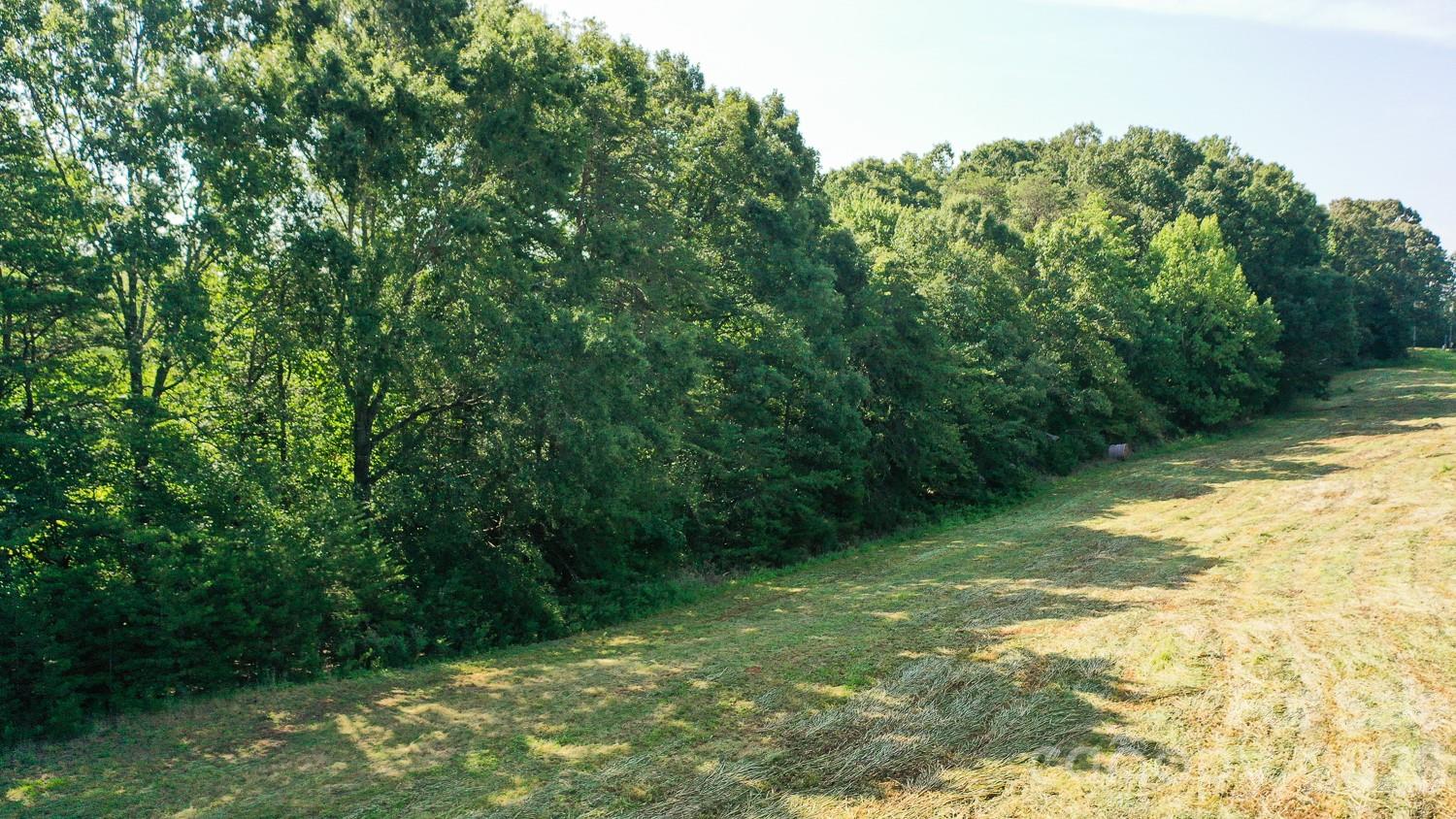 0 Mt Pleasant Road Sherrills Ford, NC 28673 - Photo 11 of 12 Gallery Image 11