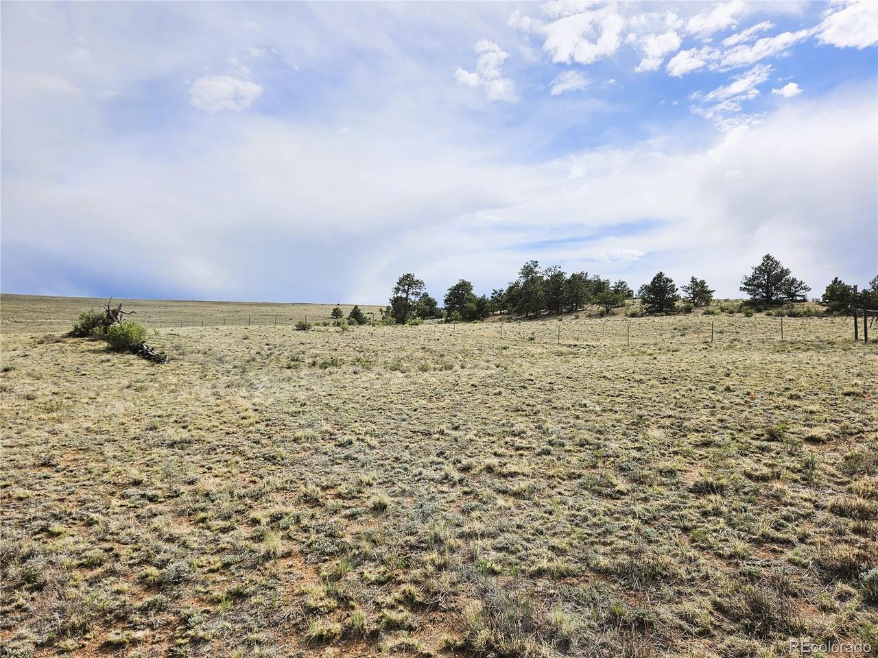 24131 Chato Road Hartsel, CO 80449 - Photo 9 of 28